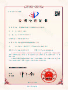 一種膜生物反應(yīng)器工藝的膜通量在線預(yù)測(cè)方法
